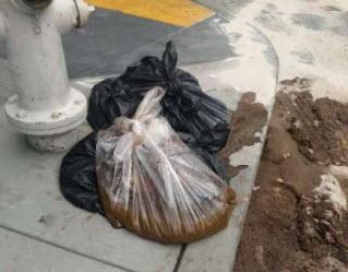 San Francisco Feces