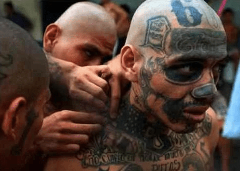 MS-13