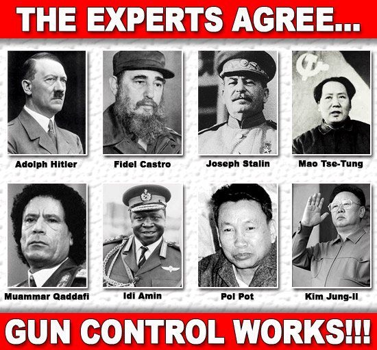 gun-control-works