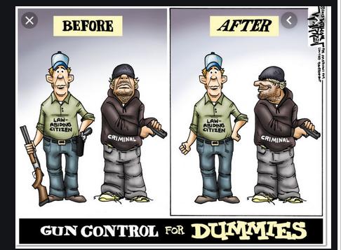 California Red Flag Laws