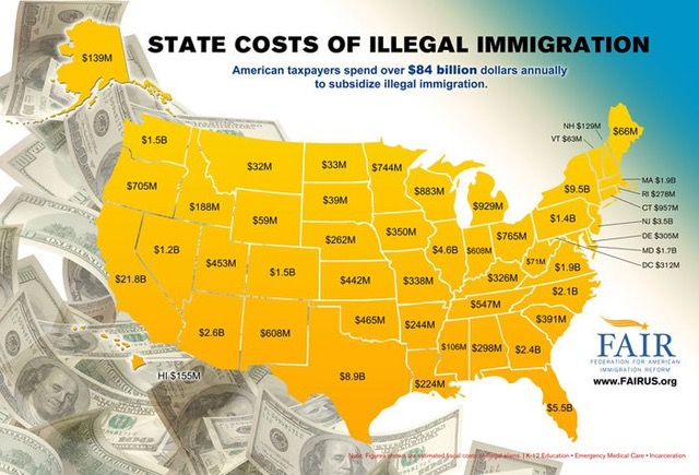 State Costs Of Illegal Immigration At A Glance! | Touch Stone Connect